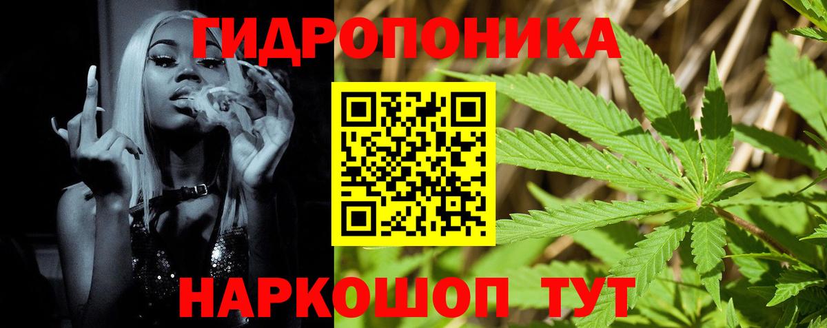 Бошки марихуана сатива Узловая